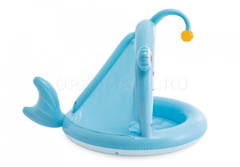         - Intex 58419NP Angler Fish Baby Pool ( 1  3 )