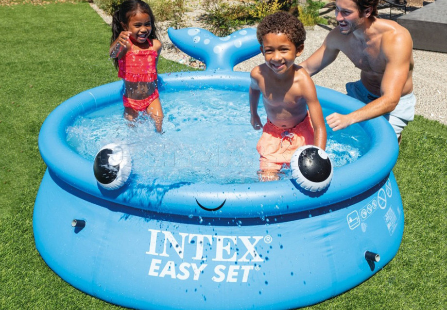   Intex 26102NP Jolly Whale Easy Set Pool (183  51 )