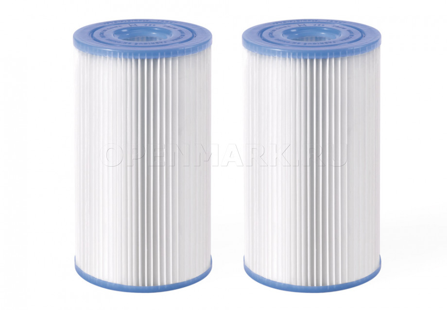 - ( S2 ) Intex 29012 Filter Cartridges    (: 2 .)