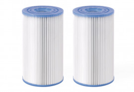 - ( S2 ) Intex 29012 Filter Cartridges    (: 2 .)