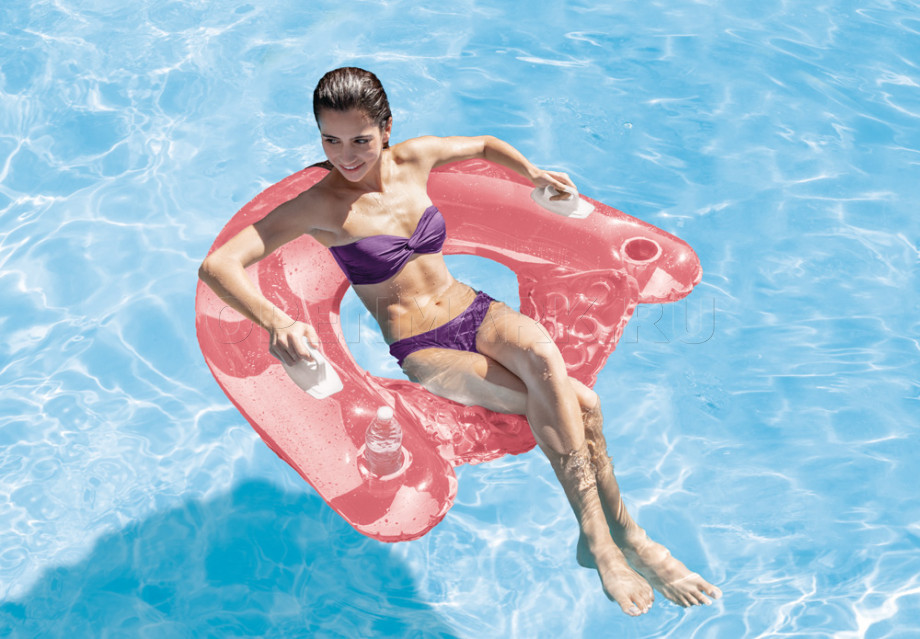     Intex 58859NP Sit n Float (147  99 )