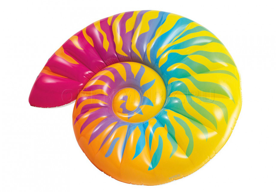   Intex 58791EU Rainbow Seashell Float (157  127  25 )