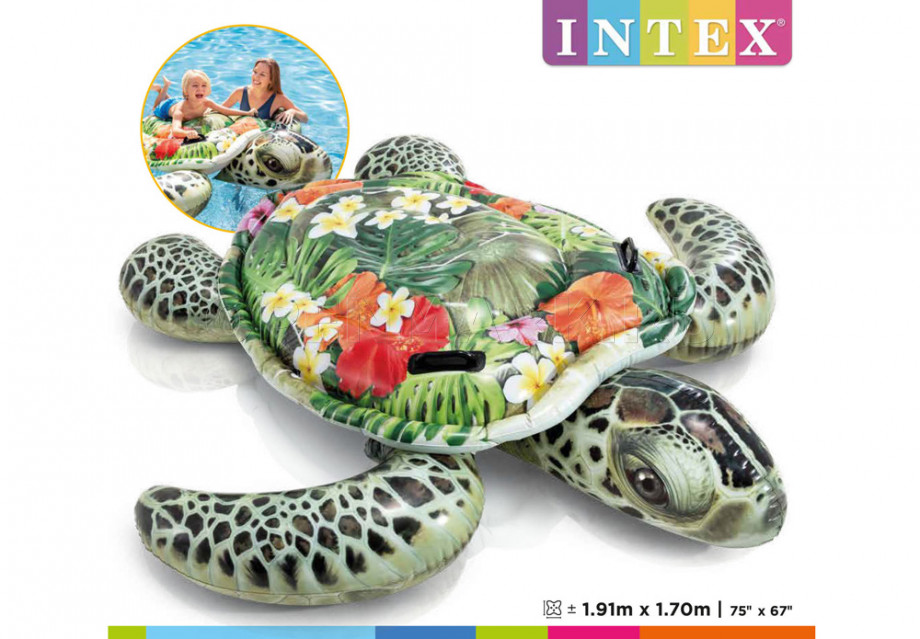        Intex 57555NP Realistic Sea Turtle Ride-On ( 3 )