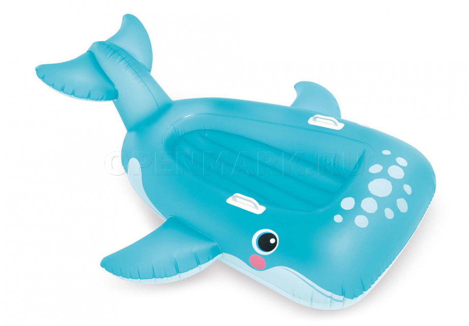       Intex 57567NP Blue Whale Ride-On ( 3 )