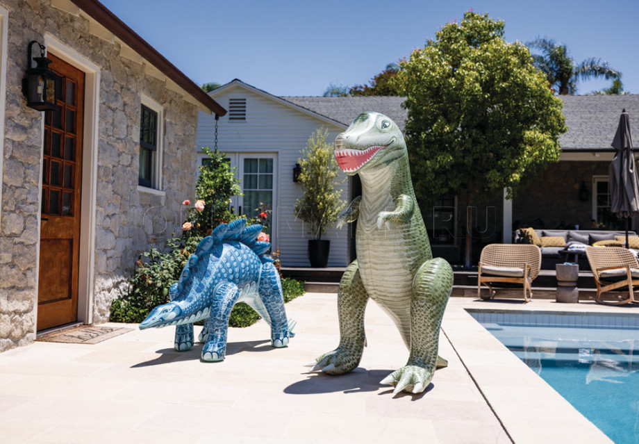   Intex 48593NP Jurassic Dino Pals ( 3 )