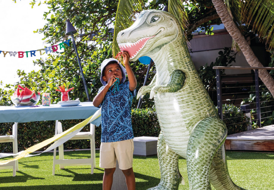   Intex 48593NP Jurassic Dino Pals ( 3 )