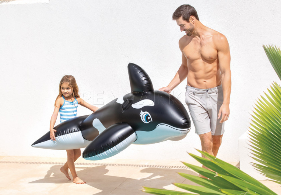        Intex 58561NP Whale Ride-On ( 3 )