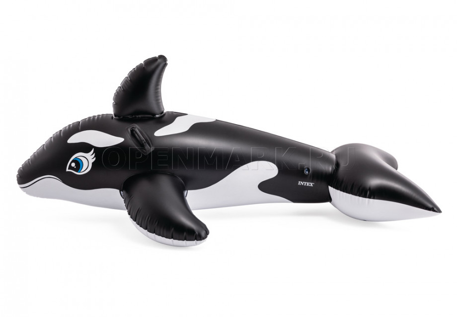        Intex 58561NP Whale Ride-On ( 3 )