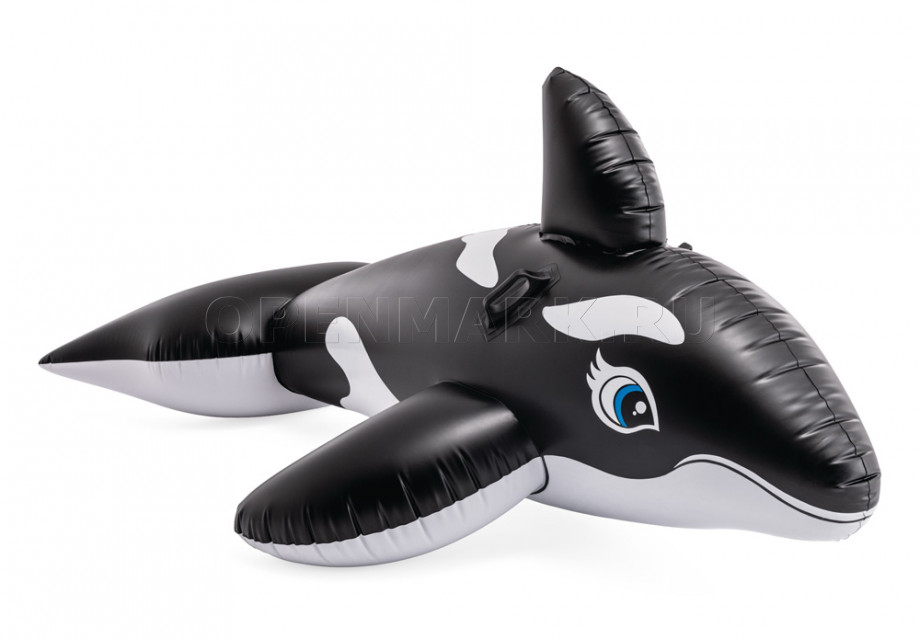        Intex 58561NP Whale Ride-On ( 3 )