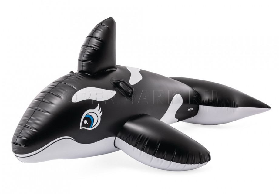        Intex 58561NP Whale Ride-On ( 3 )
