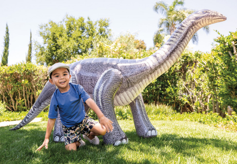   Intex 48594NP Jurassic Dino Pals ( 3 )