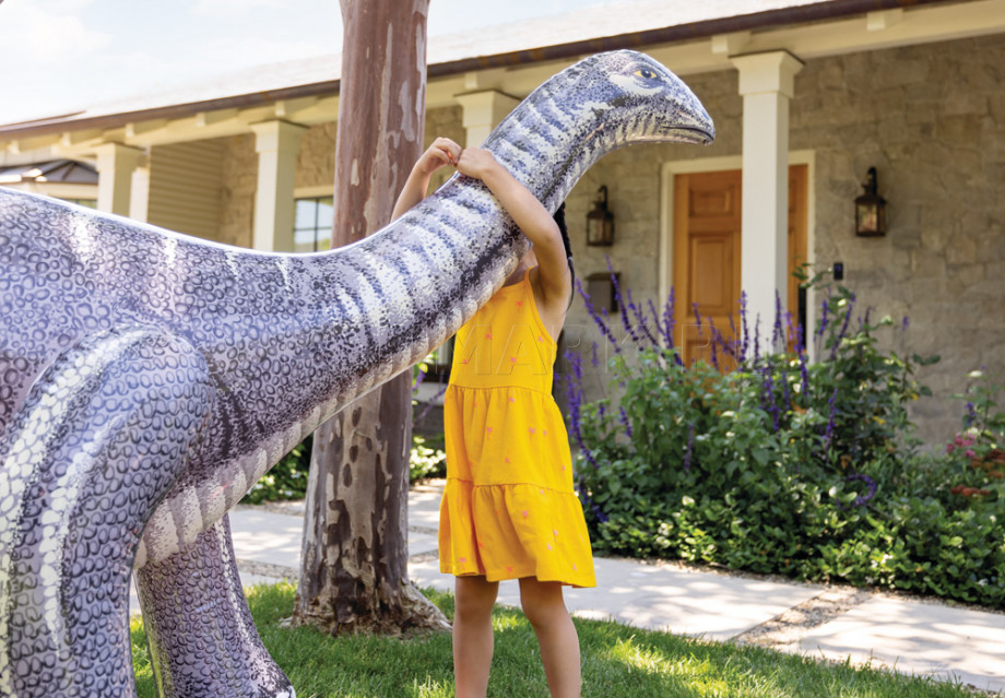   Intex 48594NP Jurassic Dino Pals ( 3 )