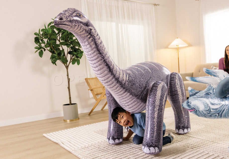   Intex 48594NP Jurassic Dino Pals ( 3 )
