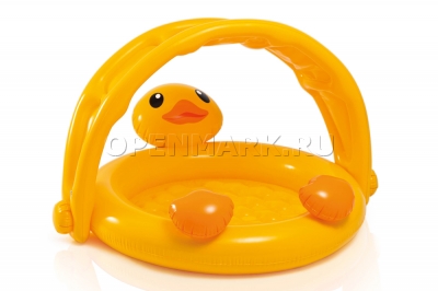          Intex 57121NP Ducky Friend Baby Pool ( 1  3 )
