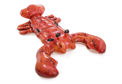      Intex 57533NP Lobster Ride-On ( 3 )