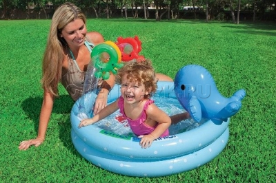     Intex 57400NP Dolphin Baby Pool ( 1  3 )