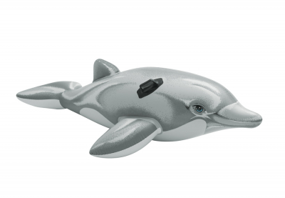        Intex 58539NP Dolphin Ride-On ( 3 )