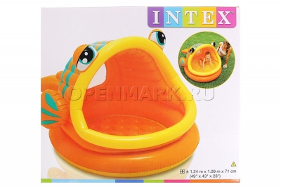      Intex 57109NP Lazy Fish Shade Baby Pool ( 1  3 )