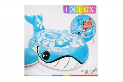        Intex 57527NP Bashful Blue Whale Ride-On ( 3 )